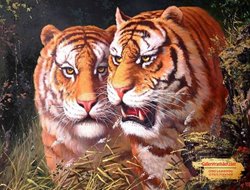 Tranh Con Hổ GTD20