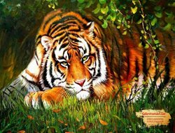 Tranh Hổ GTD17