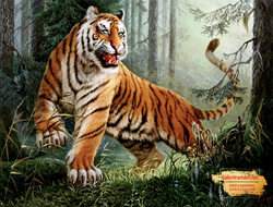 Tranh Hổ GTD03