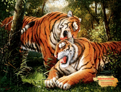 Tranh Hổ GTD05