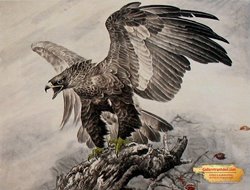 Tranh Đại Bàng GTD22