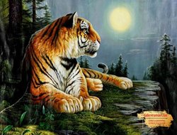 Tranh Hổ GTD16