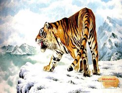 Tranh Con Hổ GTD19