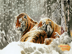 Tranh Hổ GTD07